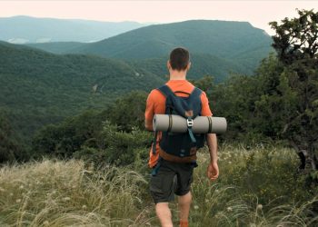 На Кубани обновляют основные туристические маршруты