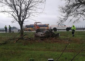 На Кубани иномарка врезалась в дерево: погибли два человека