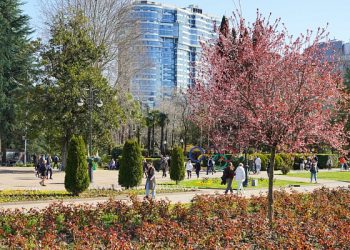 В Сочи разработают программу развития всех районов