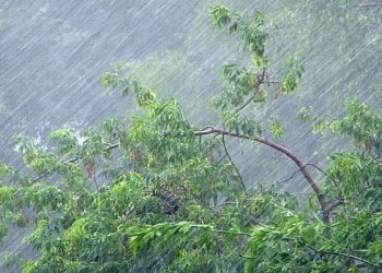 В Сочи объявили штормовое предупреждение