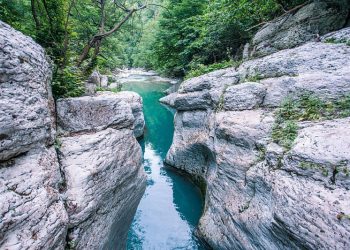 В 2022 году в Сочи ждут больше 7 миллионов туристов