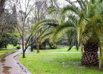 В Сочи хотят создать 10 особо охраняемых территорий