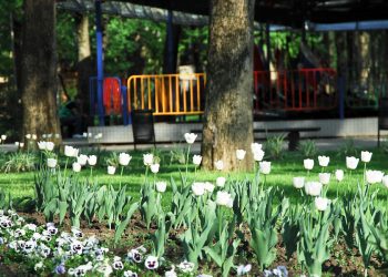 На Кубани стартовало голосование за объекты благоустройства