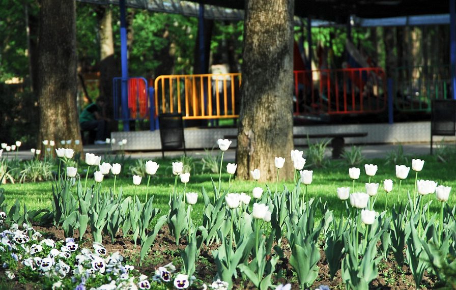 На Кубани стартовало голосование за объекты благоустройства