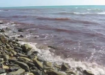 Море у берегов Анапы стало красным
