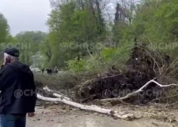 В Сочи сошел очередной оползень