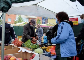 На ярмарки в Краснодаре привезли 90 тонн сельхозпродуктов