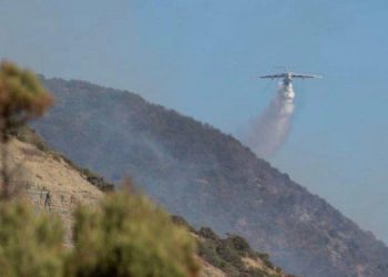 Директора заповедника «Утриш» судили за крупный пожар