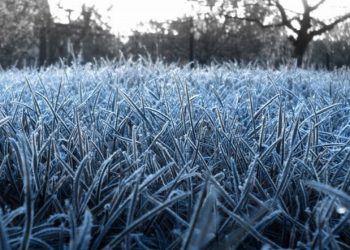 На Кубани объявили штормовое предупреждение по заморозкам