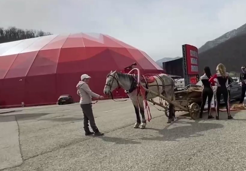 В Сочи электромобиль врезался в телегу с лошадью