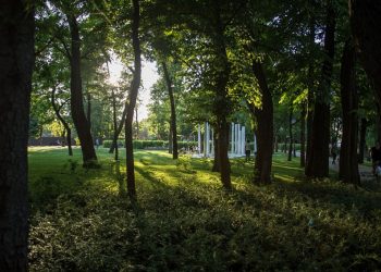 За объекты для благоустройства на Кубани проголосовали 233 тысячи человек