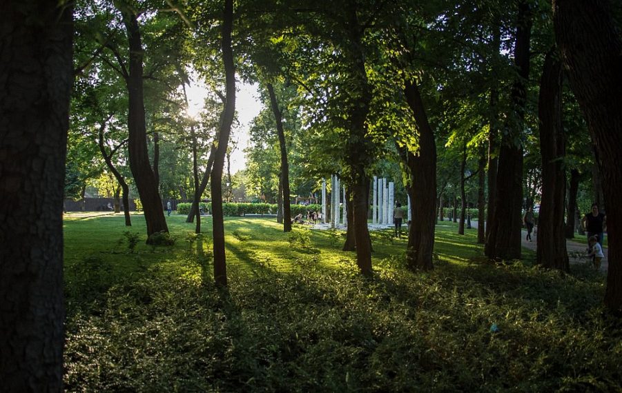 За объекты для благоустройства на Кубани проголосовали 233 тысячи человек