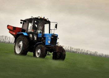 Кондратьев поручил разработать программу развития семеноводства свеклы