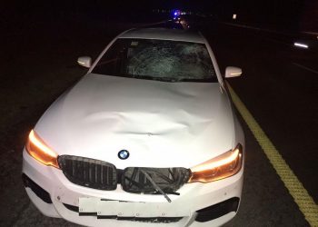 На Кубани иномарка насмерть сбила мужчину