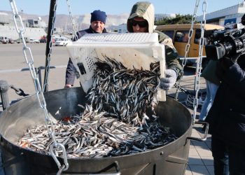 В Новороссийске возобновится фестиваль хамсы