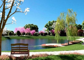 В Сочи выбрали три лучших проекта для благоустройства