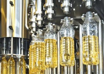 На Кубани повысят эффективность производства растительного масла