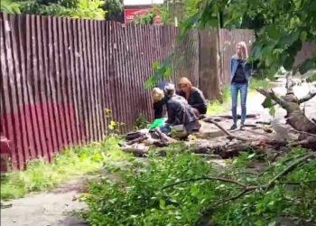 В Сочи дерево упало на женщину