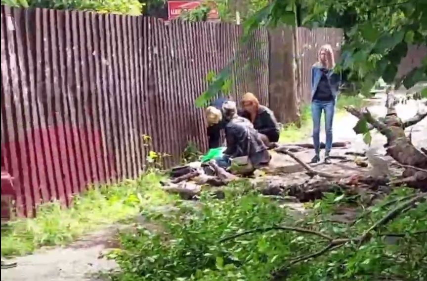 В Сочи дерево упало на женщину