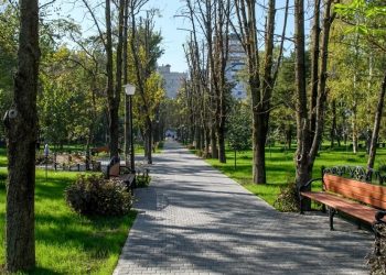 В Краснодаре 94 тысячи человек отдали голоса за благоустройство