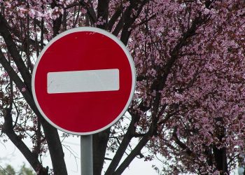 В Краснодаре временно перекроют улицу Гоголя