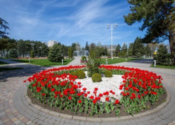 На Кубани стартовал летний туристический сезон