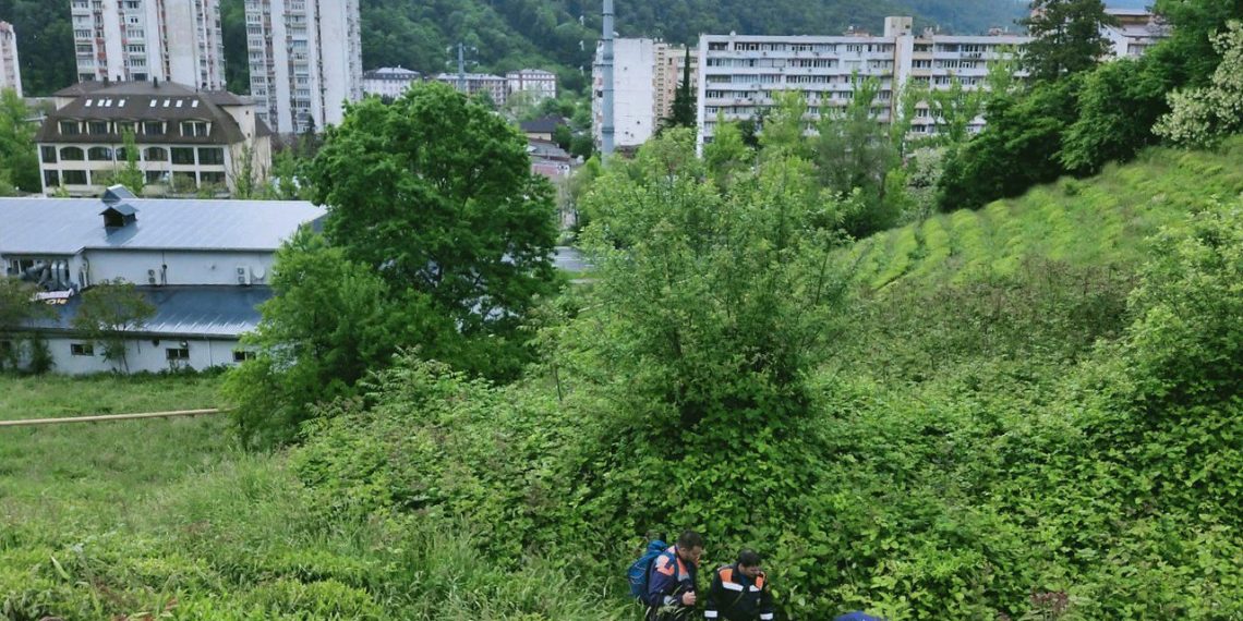 В Дагомысе пенсионерку целую ночь искали на чайной плантации