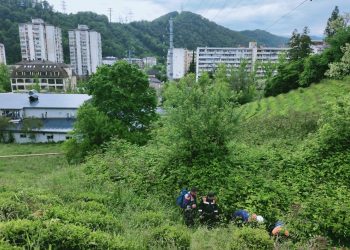 В Дагомысе пенсионерку целую ночь искали на чайной плантации