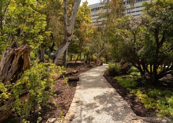 В Сочи благоустраивают сквер у Зимнего театра