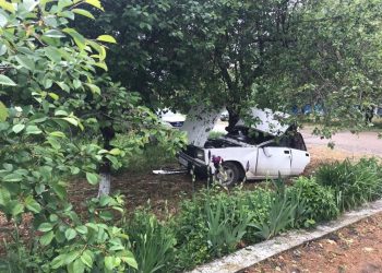 На Кубани мужчина на «семерке» врезался в дерево и погиб