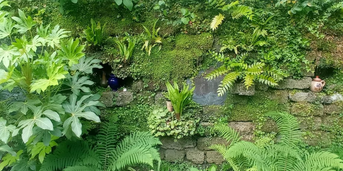 В Сочи воссоздаются ландшафтные уголки Венчагова