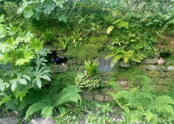 В Сочи воссоздаются ландшафтные уголки Венчагова