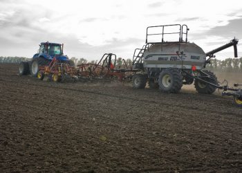 На Кубани завершили сев подсолнечника и сахарной свеклы