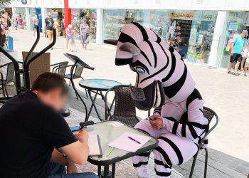 В Сочи полицейские поймали «зебру»