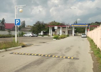 Институт приматологии в Сочи войдет в состав Сириуса