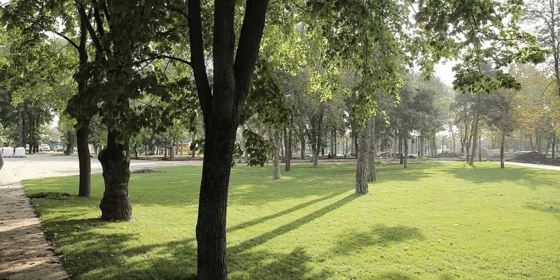 Краснодарcкие водоемы обработают от комаров