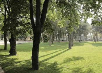 Краснодарcкие водоемы обработают от комаров