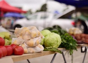 В субботу в Краснодаре открылись 10 ярмарок