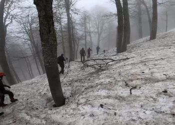 В горах Сочи спасли двух туристов