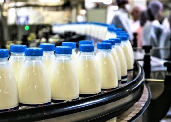 С начала года на Кубани произвели почти 400 тысяч тонн молока