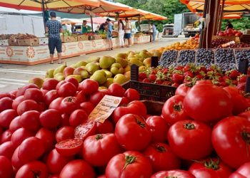 В Сочи откроют около 10 ярмарок