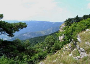 На Кубани создадут три особо охраняемых природных территории