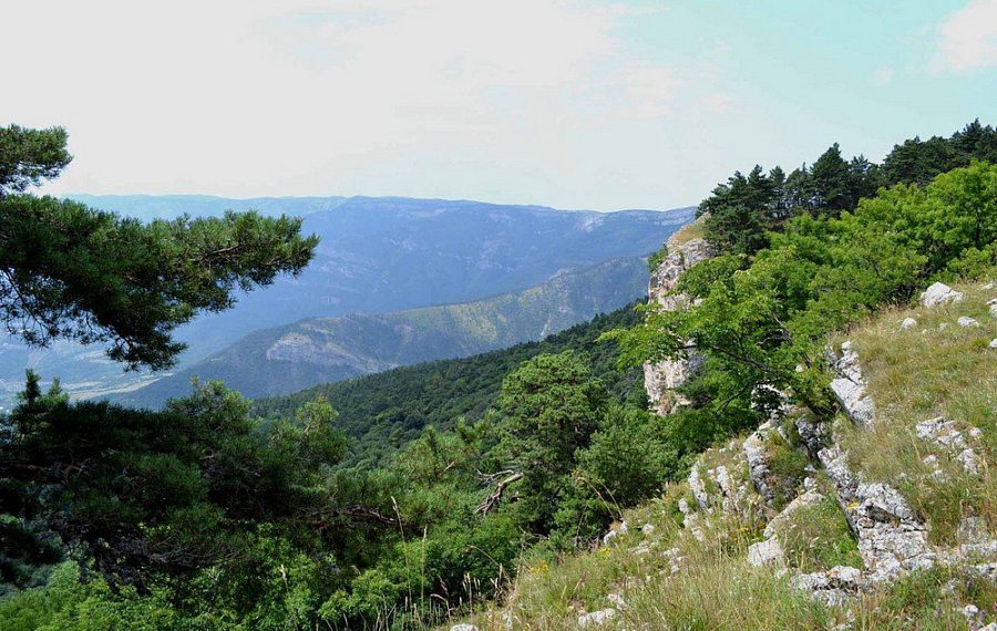 На Кубани создадут три особо охраняемых природных территории