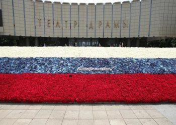 В Краснодаре сделали триколор из 50 тысяч бутонов роз
