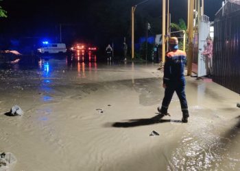 В Сочи подтопило около 50 домовладений