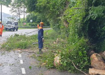 В Сочи 1100 человек готовы к ликвидации возможных ЧС