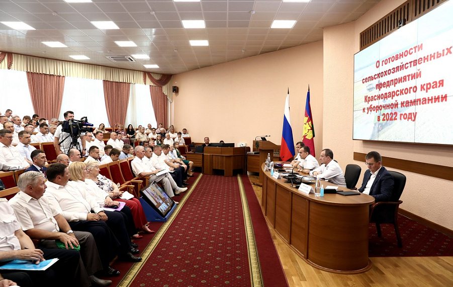 За пять лет сбор озимой пшеницы на Кубани увеличился на 15%