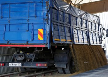 Кубанский элеватор будет работать по бережливым технологиям