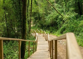 В Сочи благоустраивают туристические объекты нацпарка