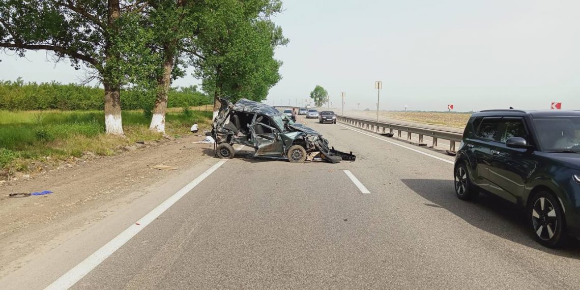 На Кубани «Лада» врезалась в дерево: погиб человек